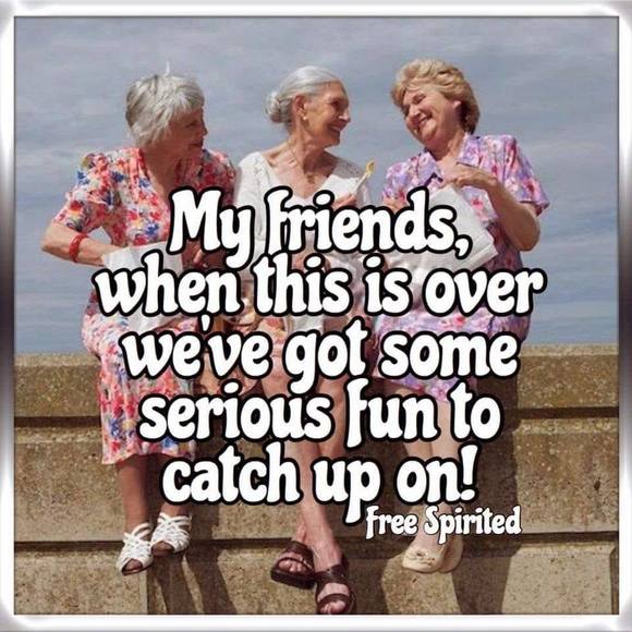 Meet your Posher, Connie - Picture 1 of 1